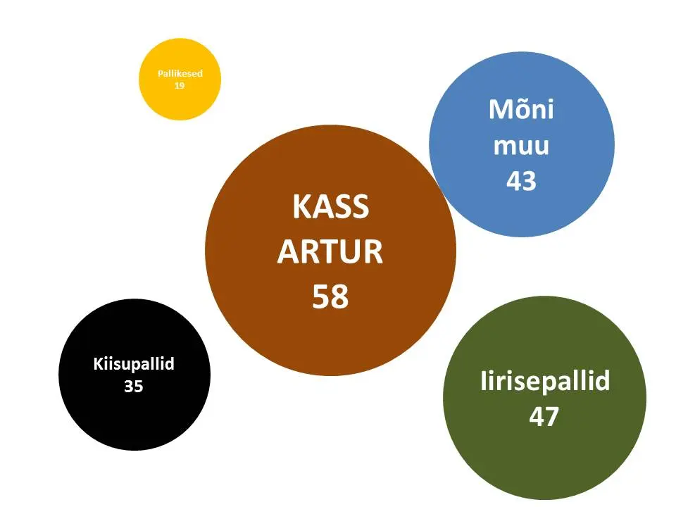 Kass Artur pallid kliendiuuring